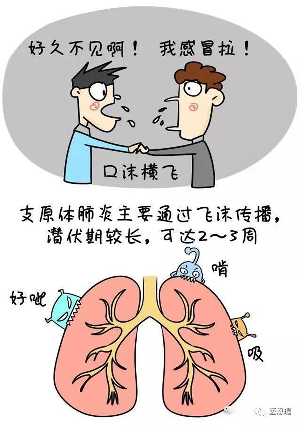 图片-1.jpg
