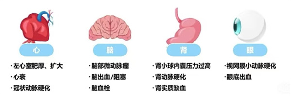 微信图片_2025-11-14_103907_141.jpg