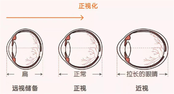 微信图片_2025-11-25_140804_356.jpg