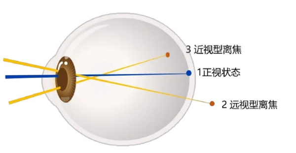 微信图片_2025-11-25_140806_232.jpg