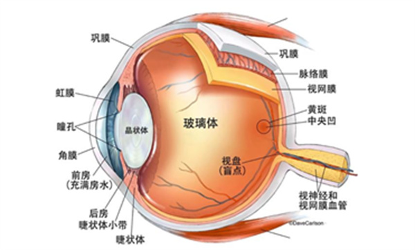 微信图片_2026-02-28_150814_524.jpg