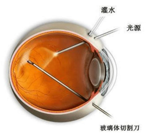 微信图片_2026-04-01_113553_377.jpg